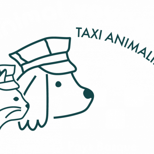 L'animal voyageur : taxi animalier #0