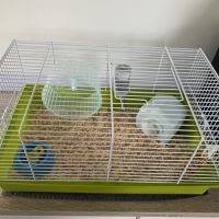 Hamster russe avec cage et accessoires