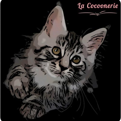 Chatterie La Cocoonerie (51)