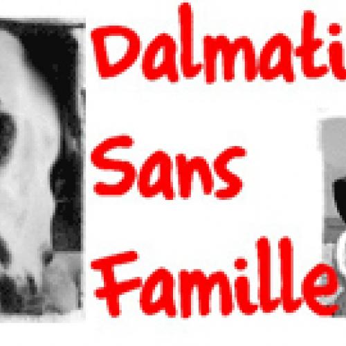 Association : Dalmatien sans Famille