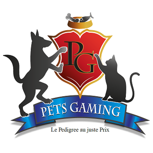 Elevage de Maine Coon Pets Gaming