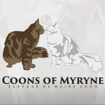 ELEVAGE COONS OF MYRYNE