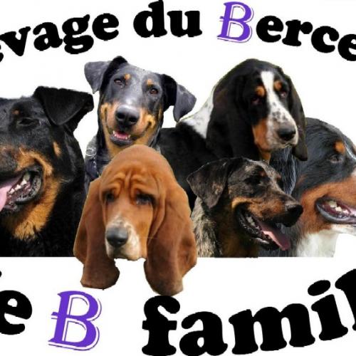 Eleveur : beauceron familly
