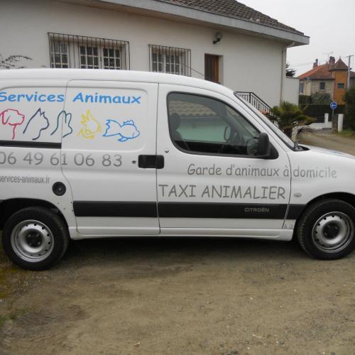 Garde animaux - Taxi animalier Services Animaux (4