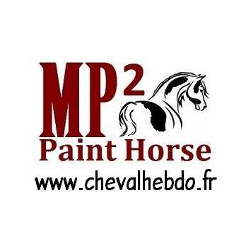 MP2 Kangal et MP2 Paint horse