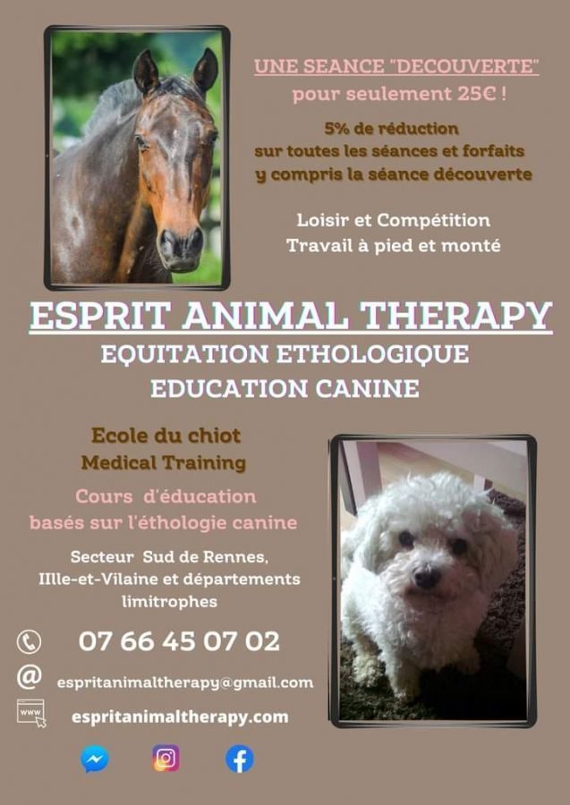 Cours d'éducation canine & équine, équitation étho #2