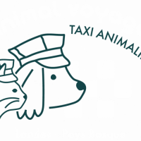 L'animal voyageur : taxi animalier