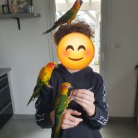 Conure soleil eam 2025 #1