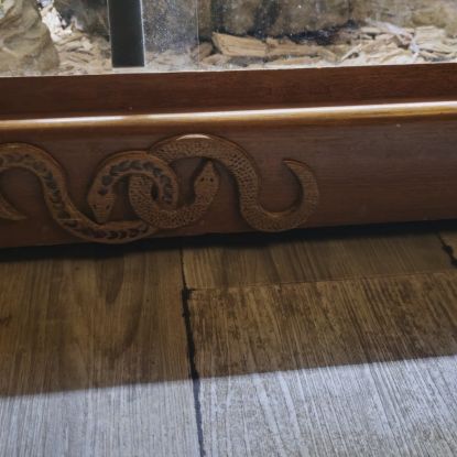 Vend vivarium complet #2