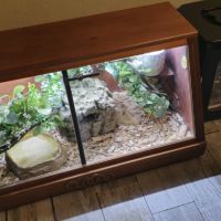Vend vivarium complet #0