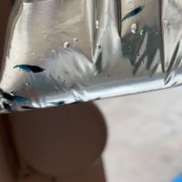 Neocaridina blue velvet