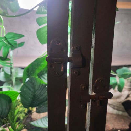 Serpent et son terra #2