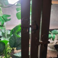 Serpent et son terra #2