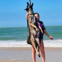 Chiots malinois à vendre #0