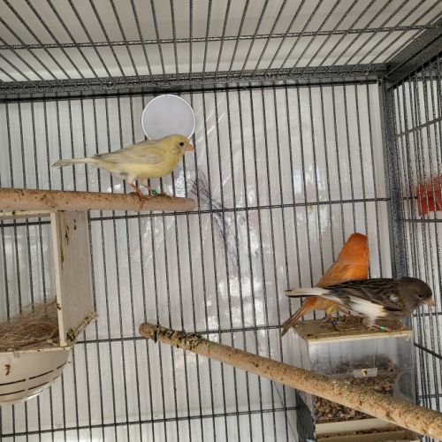 Couples mutation brun pastel #4