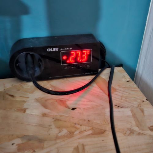 2 gecko leopard avec terrarium complet #5