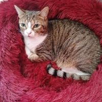 Armine adorable sos #1