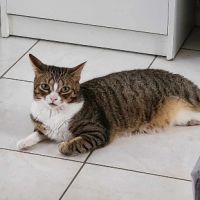 Armine adorable sos #0