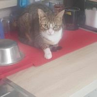 Armine adorable sos #3