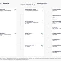 Schnauzer nain noir et argent lof #4