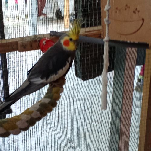 A vendre coloriste f est m #1