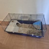 Donne lapin de petite taille #3