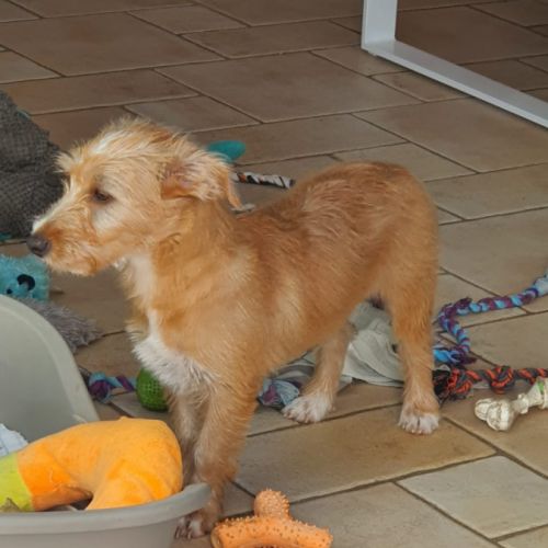 Petite couic voudrait sa famille #2