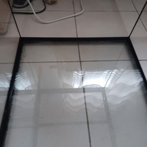 Gecko leopard avec terrarium complet #4