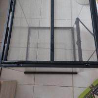 Gecko leopard avec terrarium complet #3