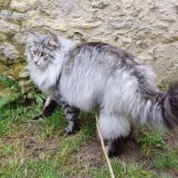 Orisha cherche une famille aimante #2