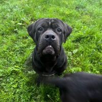 Ralph & reya cherchent leur nouvelle famille! #3