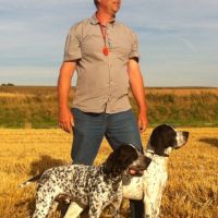 Chiots braque d'auvergne l.o.f.