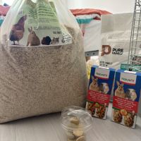 2 cochon d’inde et son nécessaire #2