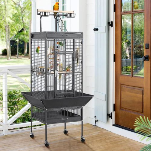 Loriquet arc en ciel eam avec papier #4