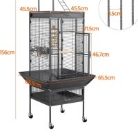 Loriquet arc en ciel eam avec papier #3