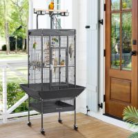 Loriquet arc en ciel eam avec papier #4