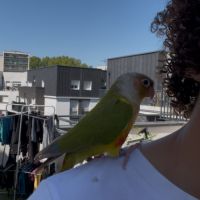 Vente conure eam #0
