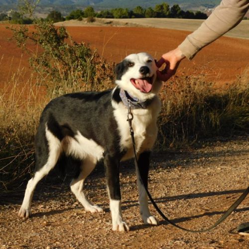 Leta : une perle au cœur tendre cherche sa famille #4
