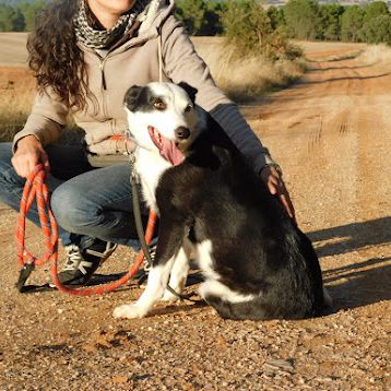 Leta : une perle au cœur tendre cherche sa famille #5