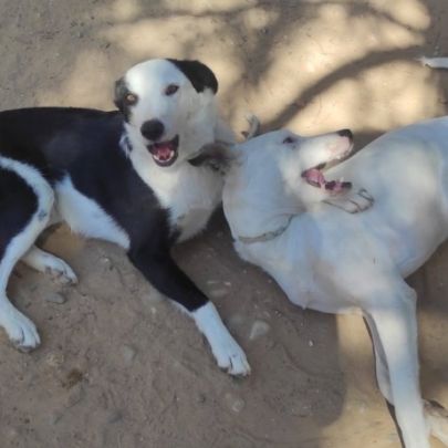 Leta : une perle au cœur tendre cherche sa famille #9