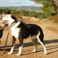 Leta : une perle au cœur tendre cherche sa famille #1