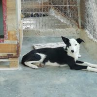 Leta : une perle au cœur tendre cherche sa famille #8