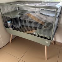 À donner deux rats #1