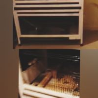 2 rats de 2 mois environ avec cage #4