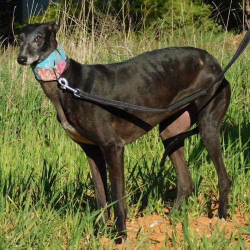 Naomi, 2 ans – une adoption du cœur❤️ #6