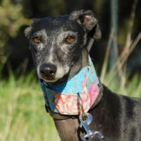 Naomi, 2 ans – une adoption du cœur❤️ #2