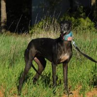 Naomi, 2 ans – une adoption du cœur❤️ #3