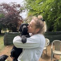 Magnifiques chiots labradors noirs #1