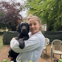 Magnifiques chiots labradors noirs