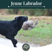 Sologne hunters's t'es belle